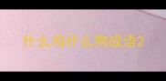 什么鸡什么狗成语
