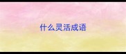 什么灵活成语