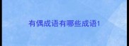 有偶成语有哪些成语
