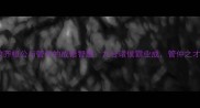 历史典故齐桓公与管仲的成语智慧九合诸侯霸业成管仲之才安天下