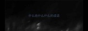 什么绝什么什么的成语