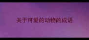 关于可爱的动物的成语