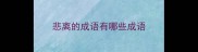 悲离的成语有哪些成语