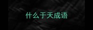 什么于天成语