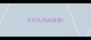 牛什么月的成语