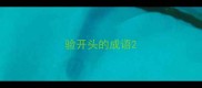 验开头的成语