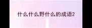 什么什么野什么的成语