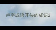 卢字成语开头的成语