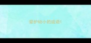 爱护幼小的成语