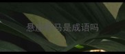 悬崖勒马是成语吗