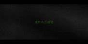 成什么万成语