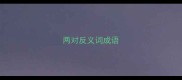 两对反义词成语