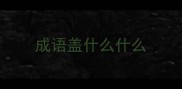 成语盖什么什么