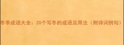 冬季成语大全20个写冬的成语及用法附诗词例句