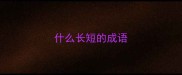 什么长短的成语