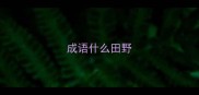 成语什么田野