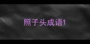 照子头成语