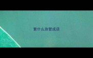 繁什么急管成语