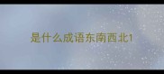 是什么成语东南西北