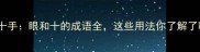 十目十手眼和十的成语全这些用法你了解了吗