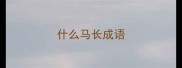 什么马长成语