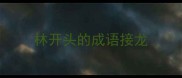 林开头的成语接龙