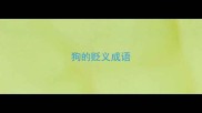 狗的贬义成语