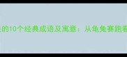与乌龟相关的10个经典成语及寓意从龟兔赛跑看中华智慧