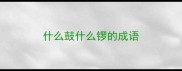 什么鼓什么锣的成语
