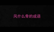 风什么骨的成语
