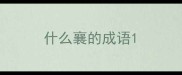 什么襄的成语