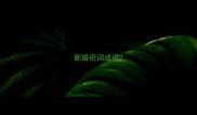 新婚祝词成语