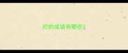 烂的成语有哪些