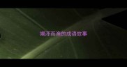竭泽而渔的成语故事
