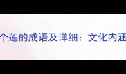 权威整理50个莲的成语及详细文化内涵与使用场景