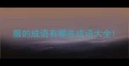 服的成语有哪些成语大全