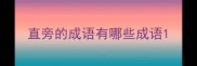 直旁的成语有哪些成语
