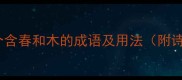 必知的10个含春和木的成语及用法附诗词典故