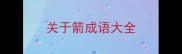 关于箭成语大全