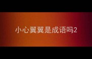 小心翼翼是成语吗