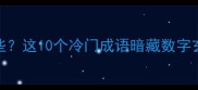 43的成语有哪些这10个冷门成语暗藏数字玄机附详细