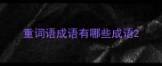 重词语成语有哪些成语