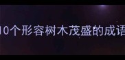 树冠如云绿荫如盖这10个形容树木茂盛的成语让孩子秒变诗词小达人
