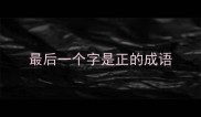 最后一个字是正的成语