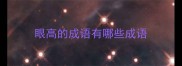 眼高的成语有哪些成语