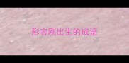 形容刚出生的成语