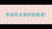 形容花长得好的成语