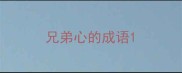 兄弟心的成语
