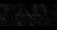 边什么边什么的成语