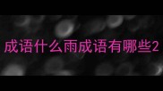 成语什么雨成语有哪些